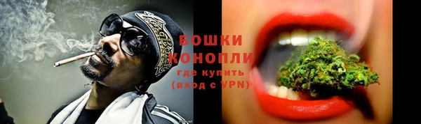 ГАЛЛЮЦИНОГЕННЫЕ ГРИБЫ Тавда