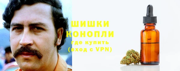дмт Верея